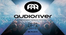 dummy